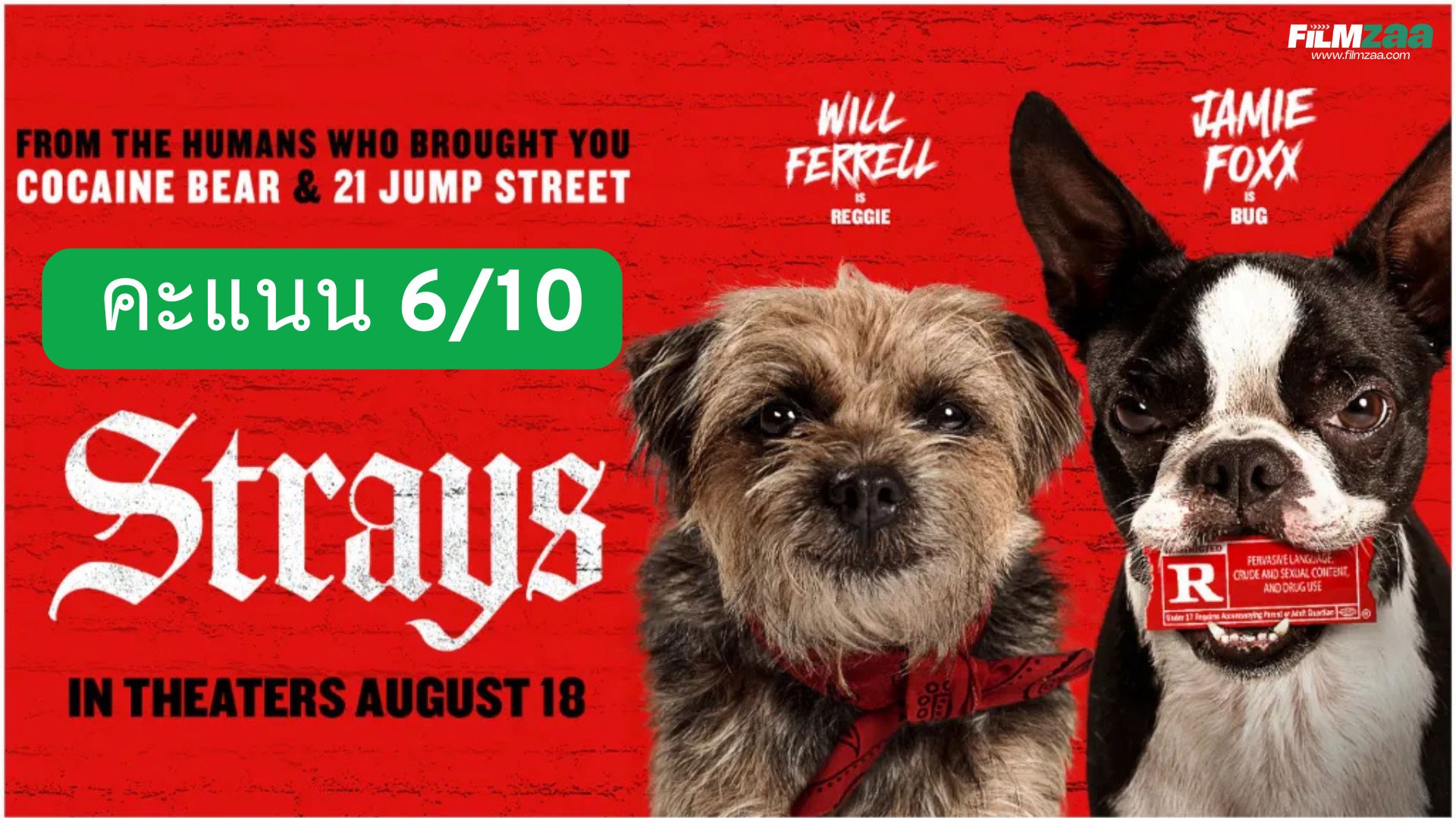 รีวิว Strays ชีวิตหมาต้องไม่หมา (2023)